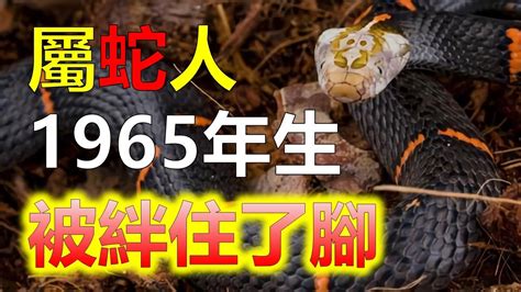 1965生肖配對|【1965屬什麼】1965屬什麼？一文詳解屬蛇者運勢、。